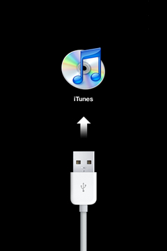 restore ipad